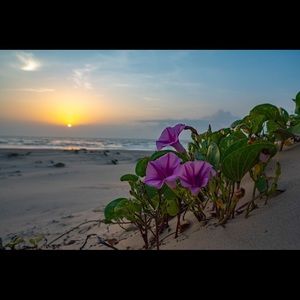 Meet your Posher, Sylvia